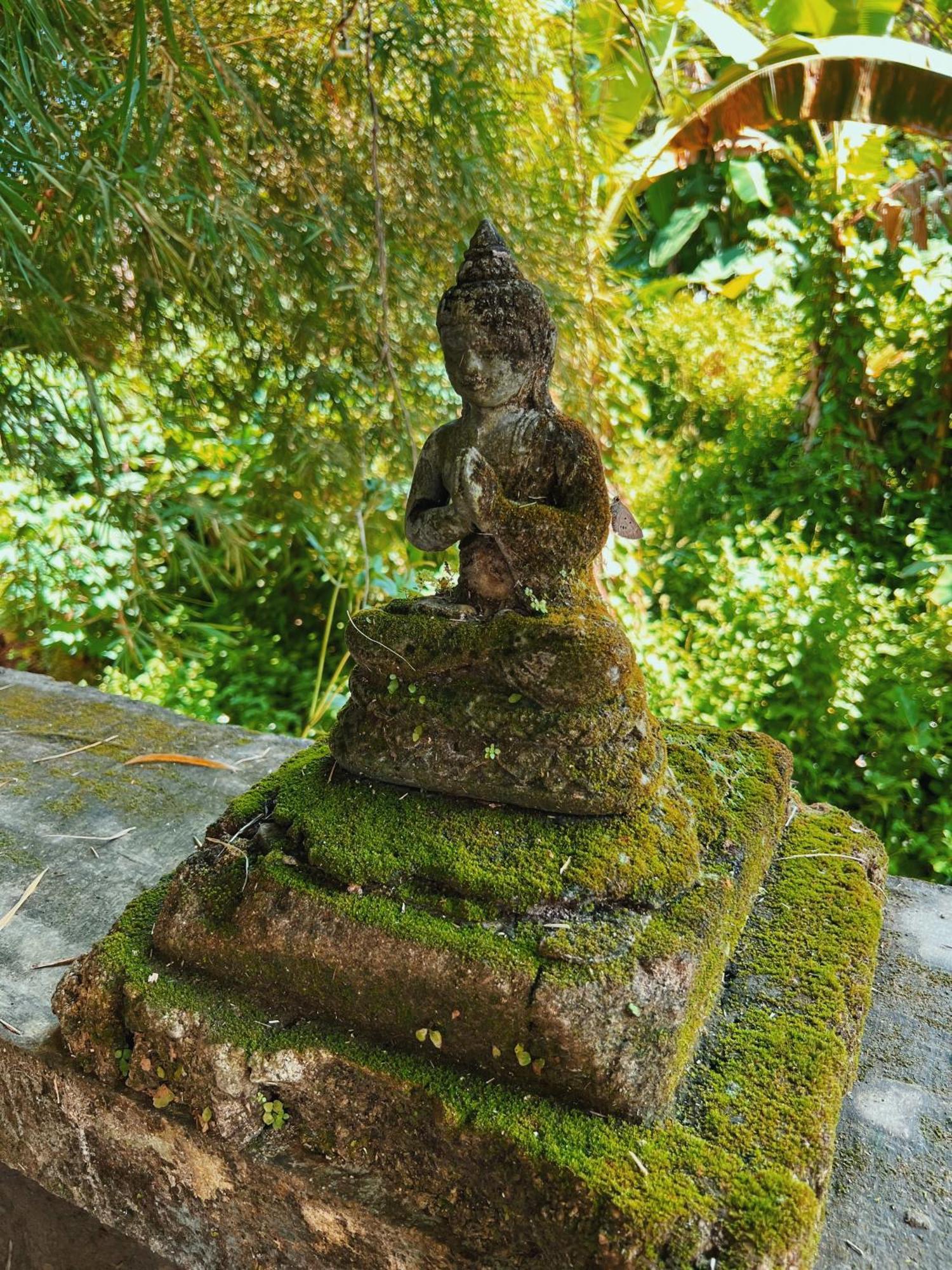 Villa Neshama Canggu Exterior foto