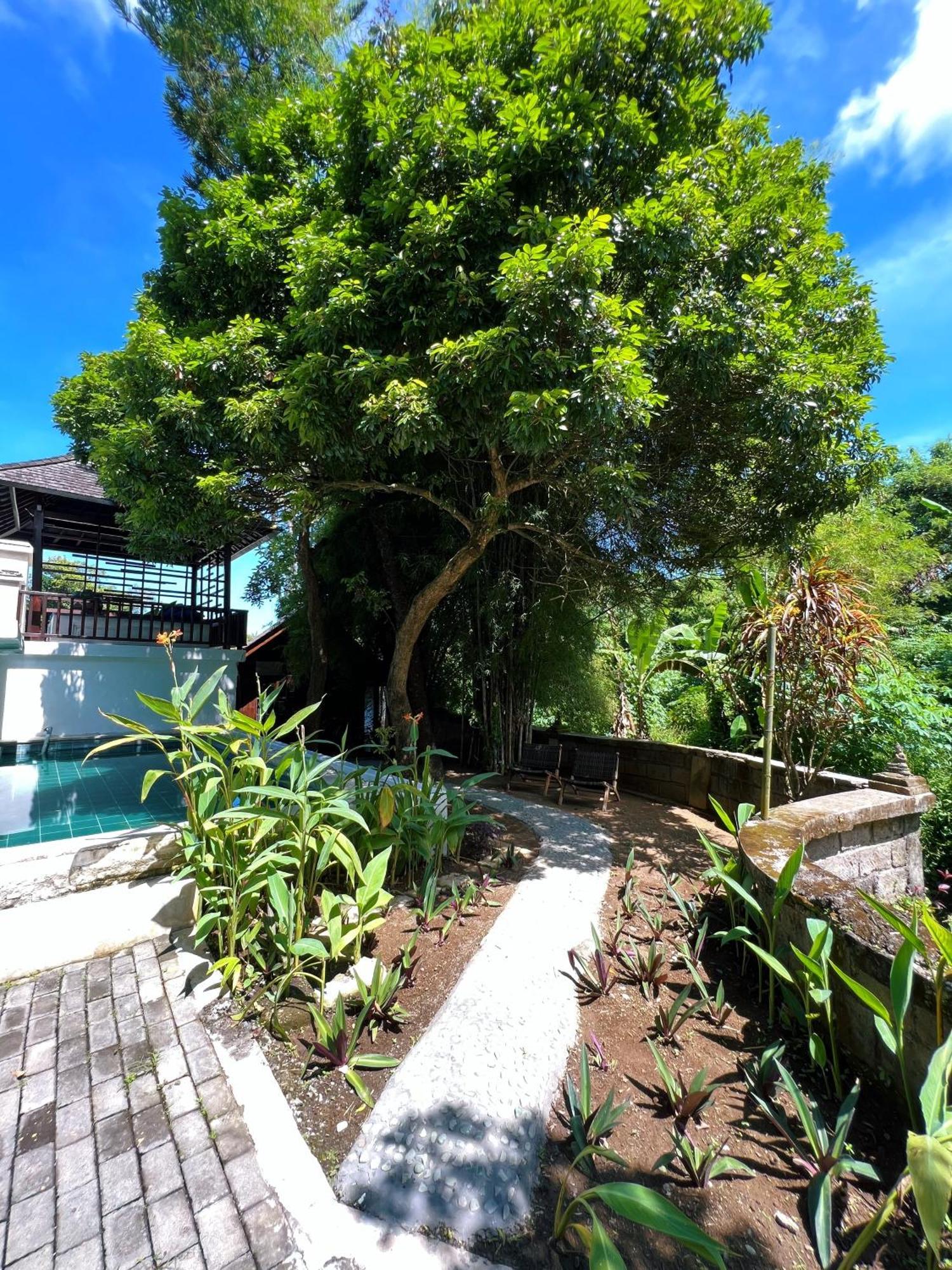 Villa Neshama Canggu Exterior foto